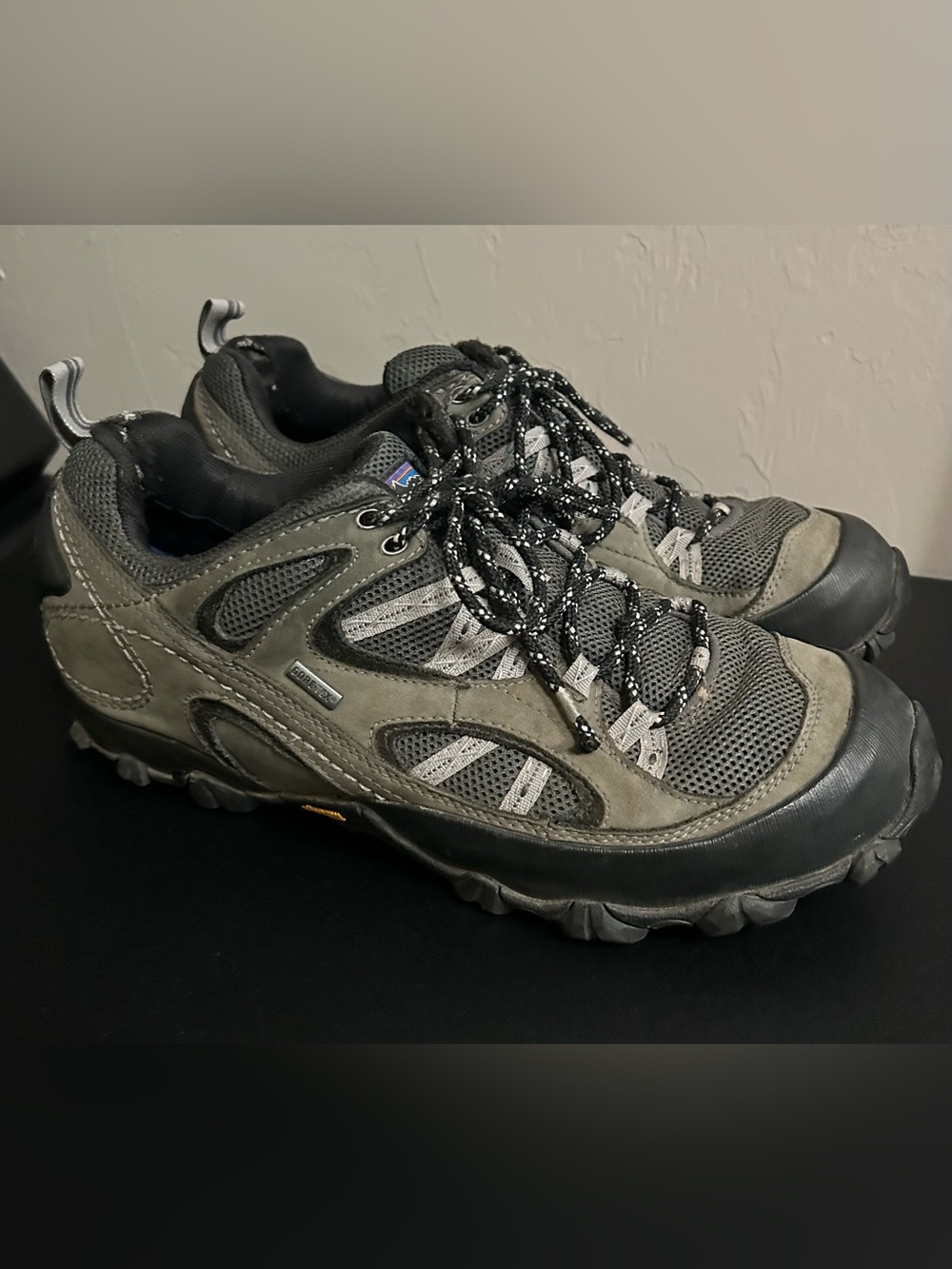 Patagonia Drifter Gore-Tex Hiking Shoes Sz 11
